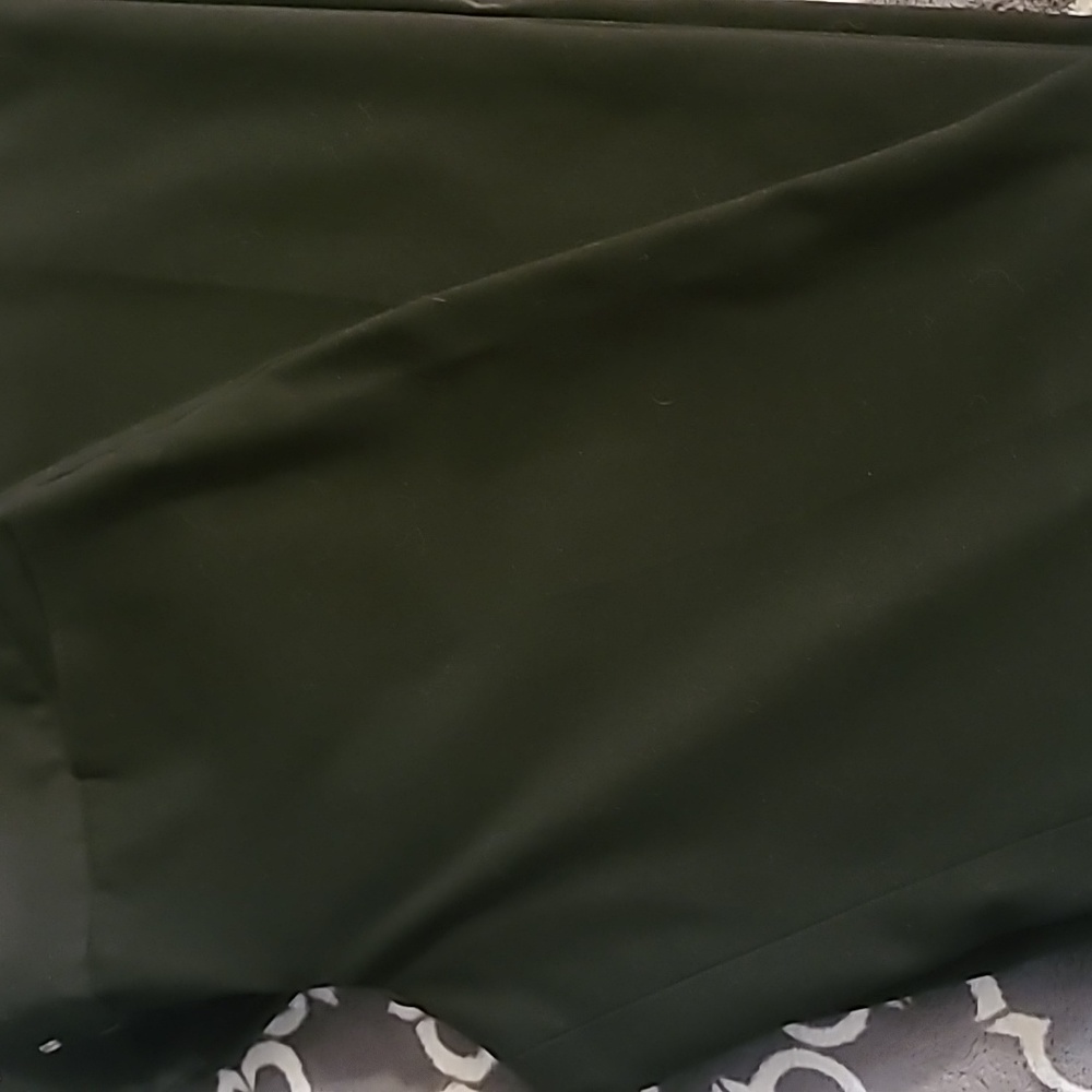 Express dress pants